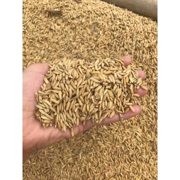 Rice Ultimate